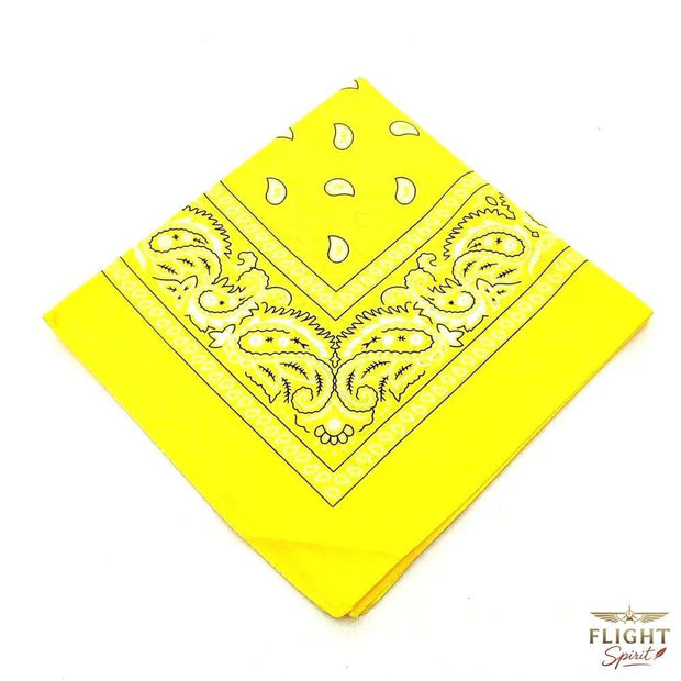 Klassisches Aviator-Bandana